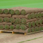 Landscape Turf