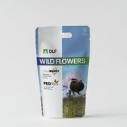 Wild Flower Mix Pro Flora 1 - 1Kg