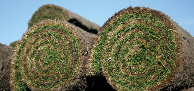 How much turf do you need?