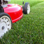 Summer Lawn Care