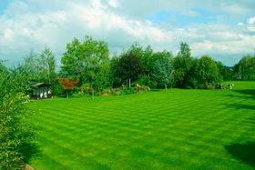 Summer Lawn Care