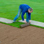 Laying the Turf