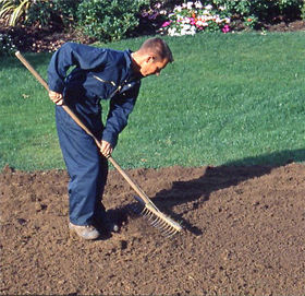 Ground Preparation