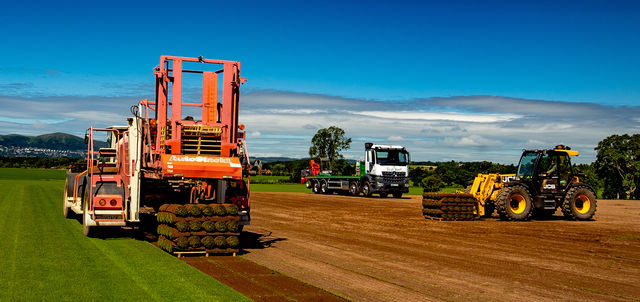 Harvesting Lawn Turf