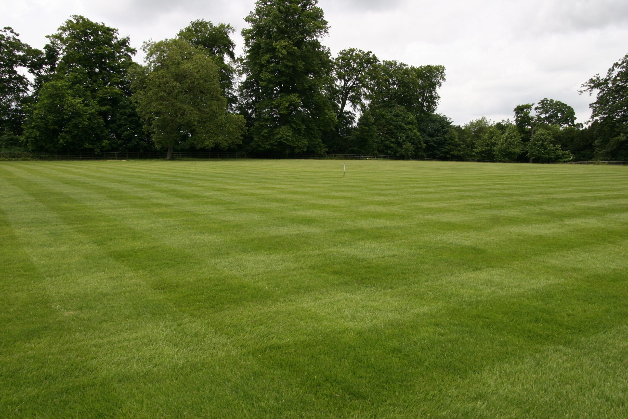 Teal Turf - Cricket Square image