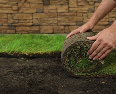 Teal Turf - Turf laying