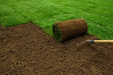 Teal Turf - Turf laying