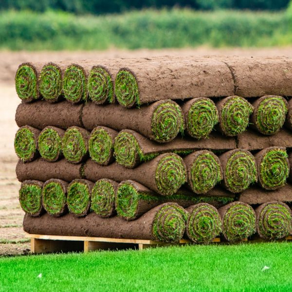 Turf Finish Premium Grade Turf - Teal Turf