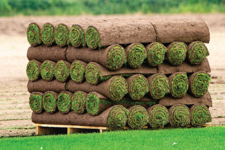 Teal Turf - Turf pallets